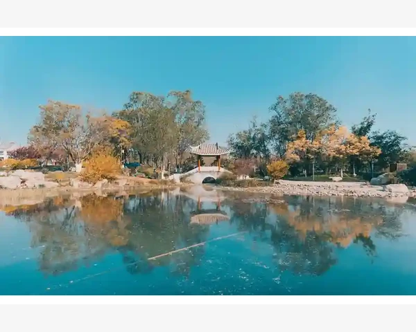 羚羊清肺败火：传统中医养生的奥秘