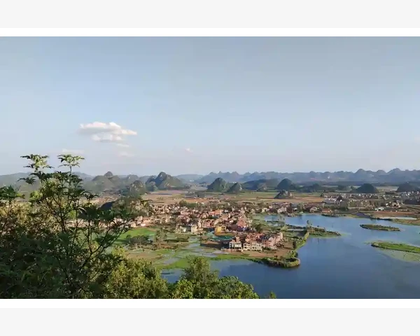 翠鸟煲汤：中医经典化痰方法，清肺降火，润喉养颜效果显著