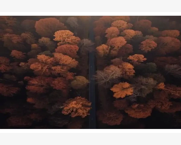 水传蜗牛智白调理面膜：中医科普揭秘，焕亮肌肤的秘密！